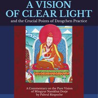 [ebook] A Vision of Clear Light (pdf)
