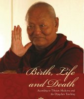 [book+ebook] Birth, Life and Death (epub)